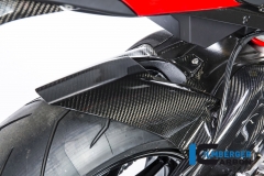 BMW_s1000r_carbon_kohi3_1