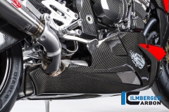 BMW_s1000r_carbon_ms18_1