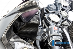BMW_S1000RR_2019_Racing_Ilmberger_Carbon_17