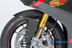 Ducati_1299_Panigale_Racing_Carbon_22_2