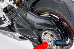 Ducati_1299_Panigale_Racing_Carbon_27_2