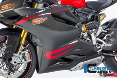 Ducati_1299_Panigale_Racing_Carbon_28_2