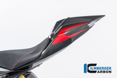 Ducati_1299_Panigale_Racing_Carbon_29_2