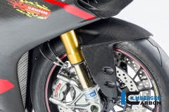 Ducati_1299_Panigale_Racing_Carbon_33_2