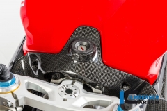 Ducati_1299_Panigale_Racing_Carbon_36_3