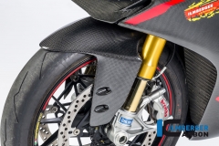 Ducati_1299_Panigale_Racing_Carbon_44_2