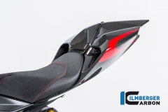 Ducati_1299_Panigale_Racing_Carbon_8_2