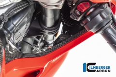 Ducati_Panigale_V4_Carbon_Ilmberger_14_1