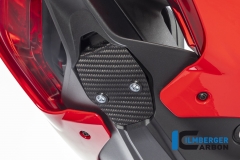 Ducati_Panigale_V4_Carbon_Ilmberger_15_1