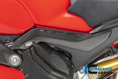 Ducati_Panigale_V4_Carbon_Ilmberger_20_1