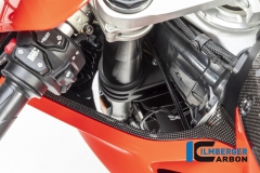 Ducati_Panigale_V4_Carbon_Ilmberger_24_1