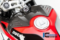 Ducati_Panigale_V4_Carbon_Ilmberger_59