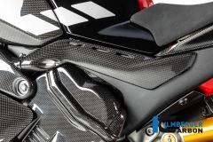 Ducati_Panigale_V4_Carbon_Ilmberger_62