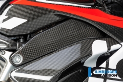 Ducati_Panigale_V4_Carbon_Ilmberger_86
