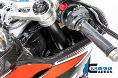 Ducati_Panigale_V4_Carbon_Ilmberger_95