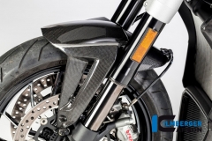 Ducati_XDiavel_carbon_28_1_DG