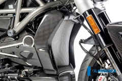 Ducati_XDiavel_carbon_33_2_DG