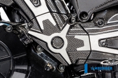 Ducati_XDiavel_carbon_38_2_DG
