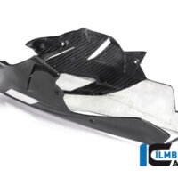 APM-PROJECT - BIKE-SECTOR - ILMBERGER - BMW S1000R 2017-2020
