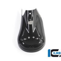 APM-PROJECT - BIKE-SECTOR - ILMBERGER - PANIGALE V2-1299