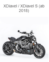 APM-PROJECT - BIKE-SECTOR - ILMBERGER - DUCATI - XDIAVEL S - 2018+