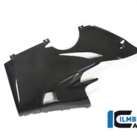 APM-PROJECT - BIKE-SECTOR - ILMBERGER - DUCATI - PANIGALE V4