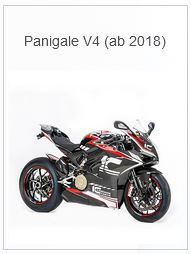 APM-PROJECT - BIKE-SECTOR - ILMBERGER - PANIGALE V4 - 2018-2019