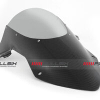 APM-PROJECT - BIKE-SECTOR - FULLSIX CARBON - BMW S1000RR - 2019+