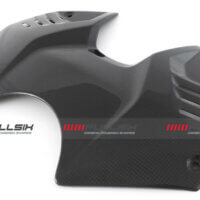 bike-sector – apm-project- fullsix carbonparts - ducati streetfighter v4