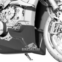bike-sector – apm-project- fullsix carbonparts - ducati streetfighter v4