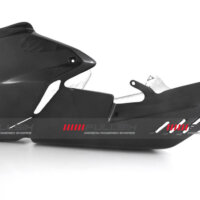 bike-sector – apm-project- fullsix carbonparts - ducati streetfighter v4