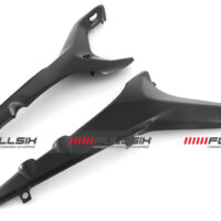 bike-sector – apm-project- fullsix carbonparts - ducati streetfighter v4