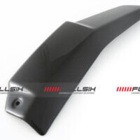 APM-PROJECT-BIKE-SECTOR FULLSIX CARBON STREETFIGHTER V4