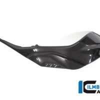 APM-PROJECT - BIKE-SECTOR - ILMBERGER - BMW S1000R-S/M1000RR