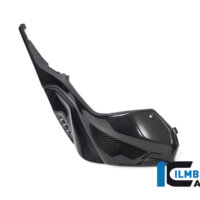 APM-PROJECT - BIKE-SECTOR - ILMBERGER - BMW S1000R-S/M1000RR