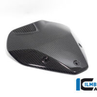 APM-PROJECT - BIKE-SECTOR - ILMBERGER CARBON - BMW - S1000R - M1000R - VEO.004.S121N.K