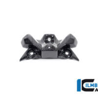 APM-PROJECT - BIKE-SECTOR - ILMBERGER CARBON - BMW - S1000R - M1000R - VEO.004.S121N.K