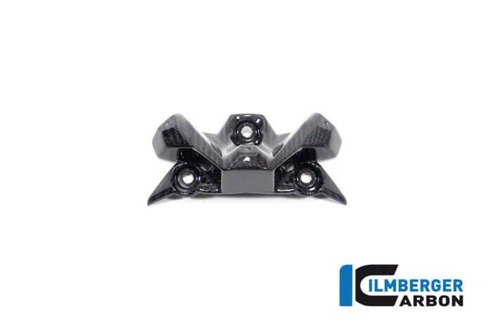 APM-PROJECT - BIKE-SECTOR - ILMBERGER CARBON - BMW - S1000R - M1000R - VEO.004.S121N.K