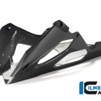 APM-PROJECT - BIKE-SECTOR - ILMBERGER CARBON - BMW - S1000R - M1000R - VEU.011.S121N.K