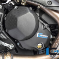 APM-PROJECT - BIKE-SECTOR I LMBERGER CARBON - MONSTER