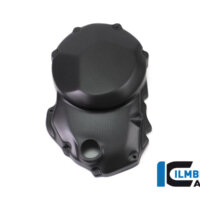 APM-PROJECT - BIKE-SECTOR I LMBERGER CARBON - MONSTER