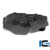 APM-PROJECT - BIKE-SECTOR I LMBERGER CARBON - MONSTER
