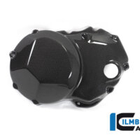 APM-PROJECT - BIKE-SECTOR I LMBERGER CARBON - MONSTER