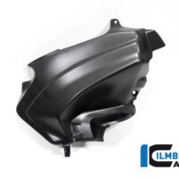 APM-PROJECT - BIKE-SECTOR - ILMBERGER - DUCATI - PANIGALE V2