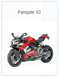 APM-PROJECT - BIKE-SECTOR - ILMBERGER - PANIGALE V2