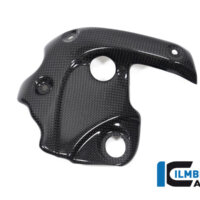 APM-PROJECT - BIKE-SECTOR - ILMBERGER - DUCATI DIAVEL 1260