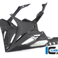APM-PROJECT - BIKE-SECTOR - ILMBERGER - BMW M1000RR - S1000RR