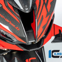 APM-PROJECT - BIKE-SECTOR - ILMBERGER CARBON - BMW - S1000RR - VEM.006.S123S.K