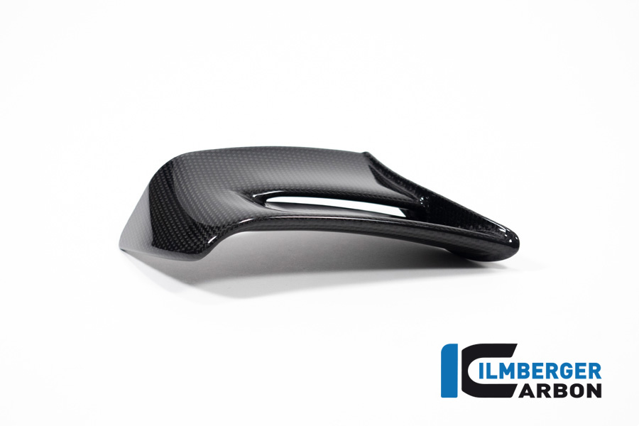 APM-PROJECT - BIKE-SECTOR - ILMBERGER - DUCATI - PANIGALE V4