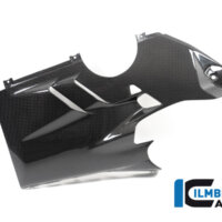 APM-PROJECT - BIKE-SECTOR - ILMBERGER - DUCATI - PANIGALE V4